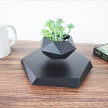 Load image into Gallery viewer, Levitating Flower Pot
